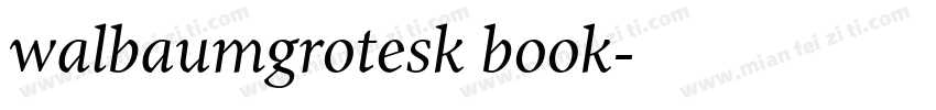 walbaumgrotesk book字体转换